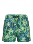 Bj&ouml;rn Borg - Borg Print Swim Shorts - L&uuml;hikesed p&uuml;ksid - L
