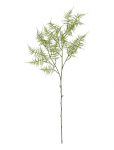 Bloomingville - Fern Stem - Kuivatatud ja kunstlilled - H89CM