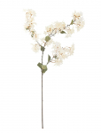 Bloomingville - Myrtle Stem - Kuivatatud ja kunstlilled - H100CM
