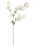 Bloomingville - Myrtle Stem - Kuivatatud ja kunstlilled - H100CM