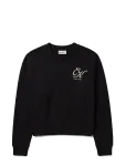 Calvin Klein Jeans - Ls Premium Terry Script Vneck Po - Dressipluusid - XXL
