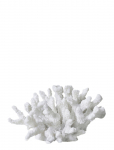 Mette Ditmer - Coral, Branches - Portselankujud ja skulptuurid - 16X18X10CM