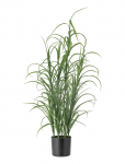 Bloomingville - Grass Plant - Kuivatatud ja kunstlilled - &Oslash; 12.5 cm