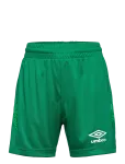 Umbro - Liga Shorts Jr - Spordi l&uuml;hikesed p&uuml;ksid - 140