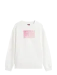 Tommy Jeans - Tjw Rlx Gradient Flag Crew - Dressipluusid - XL