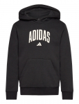 Adidas Sportswear - J Colleg Hd - Kapuutsiga pusad - 140