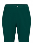 PUMA Golf - 101 Solid Short 9" - Spordi l&uuml;hikesed p&uuml;ksid - 30
