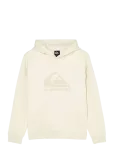 Quiksilver - Comp Logo Hoodie Youth - Kapuutsiga pusad - 10