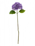 Bloomingville - Hydrangea Stem - Kuivatatud ja kunstlilled - H73CM