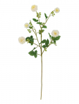 Bloomingville - Chrysantemum Stem - Kuivatatud ja kunstlilled - H101CM