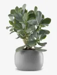 Eva Solo - Stone Urtepotte &Oslash; 16 Cm - Lillepotid - 31X13X13CM
