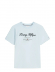 Tommy Hilfiger - Script Logo Tee - L&uuml;hikeste varrukatega - L