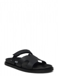 Steve Madden - Manu - Sandaalid - 42