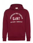 GANT - Printed Graphic Hoodie - Kapuutsiga pusad - XXXL