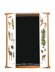 JeuJura - Blackboard - Wall Triptych 82 Cm - Forest Deyrolle - Joonistuslauad - ONE SIZE