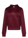Calvin Klein Jeans - Ls High Shine French Terry Hoodi - Kapuutsiga pusad - XS
