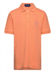 Ralph Lauren Kids - Basic Mesh-Ss Kc-Tp-Knt - L&uuml;hikeste varrukatega polos&auml;rgid - 163-174