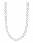 Pilgrim - Charm Curb Necklace Silver-Plated - Kett-kaelakeed - ONE SIZE