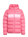 Adidas Sportswear - J Sd Jkt - Tepitud ja polsterdatud - 164