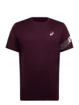 Asics - Icon Ss Top - Spordi T-s&auml;rgid - M