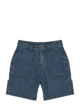 The New - Tnsavid Baggy Fit Worker Shorts - Cargo l&uuml;hikesed p&uuml;ksid - 12