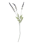 Bloomingville - Lavender Stem - Kuivatatud ja kunstlilled - H65CM