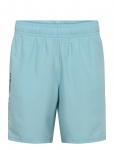 Under Armour - Ua Tech Woven Wordmark Short - Spordi l&uuml;hikesed p&uuml;ksid - XXXL