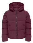 Kids Only - Kogdolly Life Sht Puffer Jacket Otw Noos - Tepitud ja polsterdatud - 146