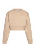 Adidas Originals - Boxy Crew - Dressipluusid - 164