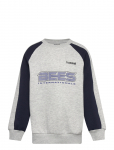 Hummel - Hmljr Oversized Iconic Crew Bees - Dressipluusid - 158/164