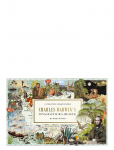 New Mags - Charles Darwin's Voyage On H.m.s. Beagle - Pusled - 25.5X8X16.5CM