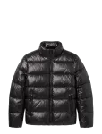 Calvin Klein - Ls High Shine Nylon Mcknk Puffer - Polsterdatud jakid - S