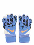 Nike - Nike Gk Match Jr - Spordi jalgpallikindad - 7