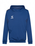 Hummel - Hmlauthentic Pl Hoodie Kids - Kapuutsiga pusad - 164