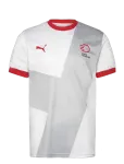 PUMA - Dhf Away Jersey - Spordi T-s&auml;rgid - L