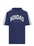 Adidas Sportswear - J C Colleg Tee - L&uuml;hikeste varrukatega - 176