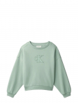 Calvin Klein - Ck Crewneck Sweatshirt - Dressipluusid - 170