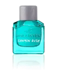 Hollister Fragrances - Canyon Rush Him Eau De Toilette - Eau De Toilette - 100 ML