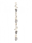 That's Mine - Shell Growth Chart Blue - Kasvutabel - ONE SIZE