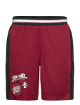 Santa Cruz - Winkowski Ocho Mesh Shorts - L&uuml;hikesed dressip&uuml;ksid - M