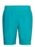 Adidas Performance - Ess Sh 8In - Spordi ujumisp&uuml;ksid - XL