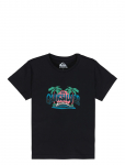 Quiksilver - Ev Palm Horizon Ss Boy - L&uuml;hikeste varrukatega - 91