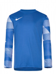 Nike - Nike Dri-Fit Park Iv Goalkeeper - Sporditopid - 137-147