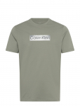 Calvin Klein - Ss 30S Eu Spw Mtl Stndrd Graphic - L&uuml;hikeste varrukatega - S