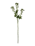 House Doctor - Artificial Branch, Hdsedum, Green - Kuivatatud ja kunstlilled - 20X80CM