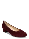 Gabor - Pumps - Kontsakingad - 41
