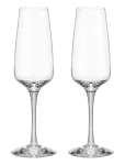 Orrefors - Pulse Champagneglass 28Cl 2-Pack - &Scaron;ampanjaklaasid - 28 CL