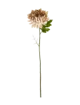 House Doctor - Artificial Flower, Hdchrysanthemum, - Kuivatatud ja kunstlilled - 14X60CM