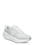 Skechers - Go Run Consistent Pro - Spordi jooksujalatsid - 40