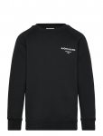 Bj&ouml;rn Borg - Borg Essential 1 Sweatshirt - Dressipluusid - 122-128
